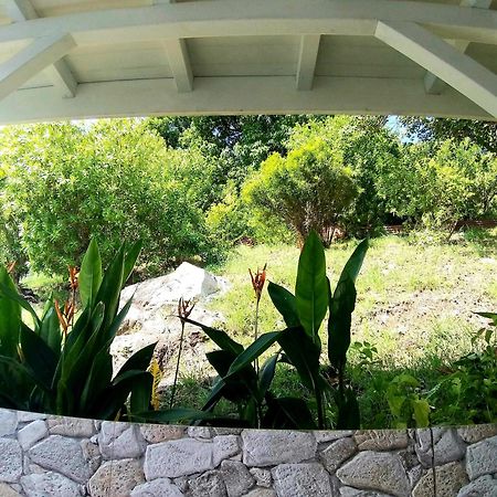 Villa Cana Et Son Spa A Terre De Haut Тер-де-О Экстерьер фото